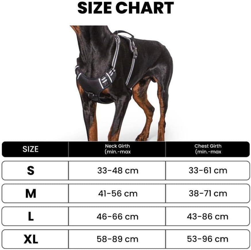 Arnés Para Perros Pequeños Talla S Con tiras reflectantes-4