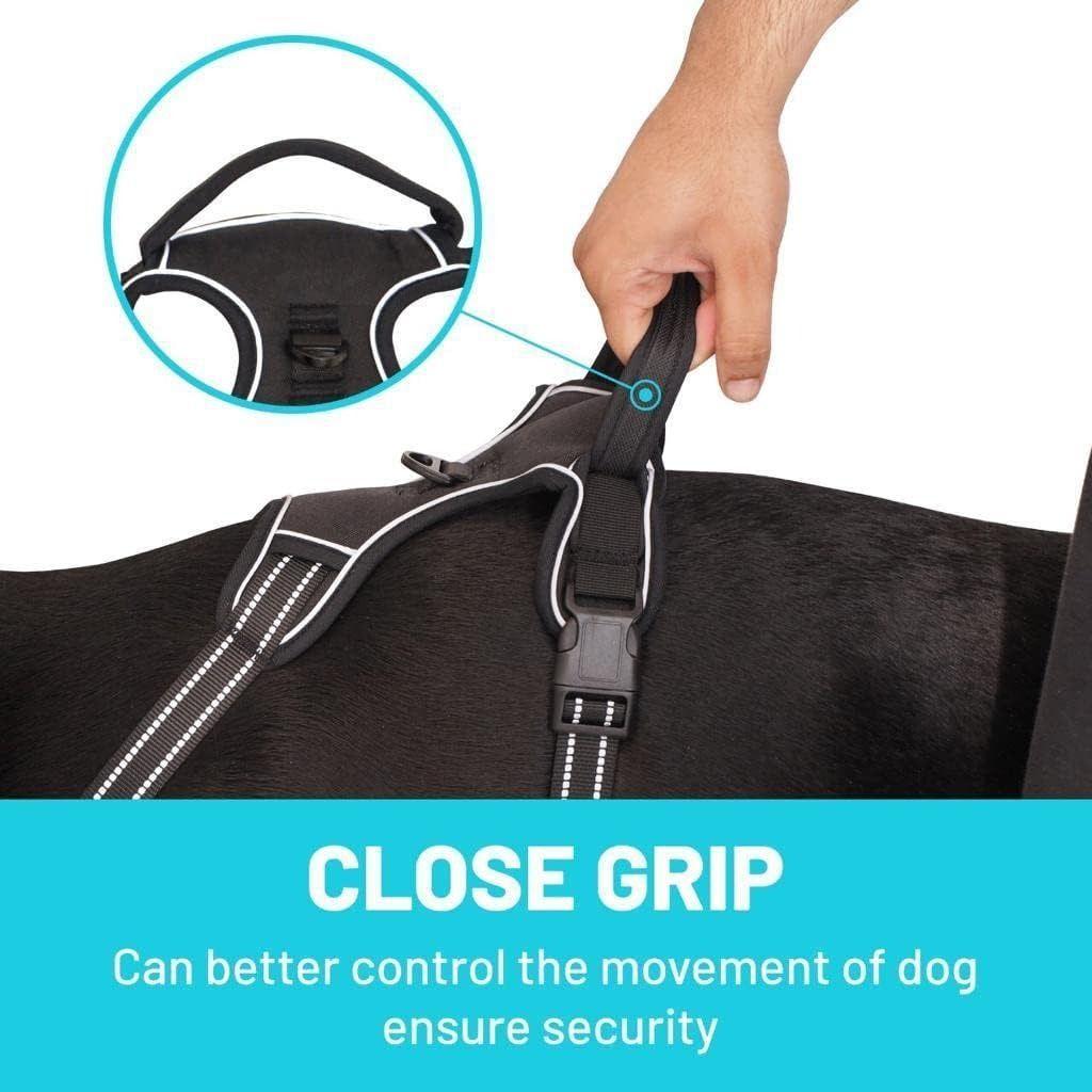 Arnés Para Perros Pequeños Talla S Con tiras reflectantes-6