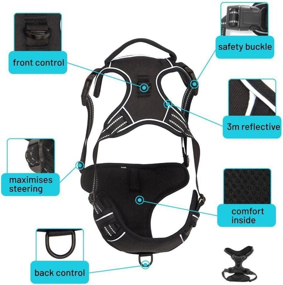 Arnés Para Perros Pequeños Talla S Con tiras reflectantes-3