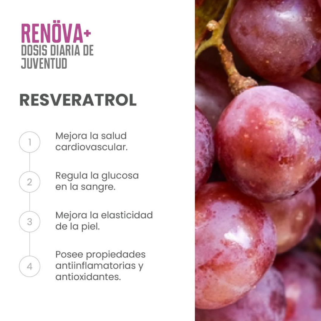 Pack 2x RENÖVA+ Colágeno Hidrolizado con Biopéptidos Activos FWP -6