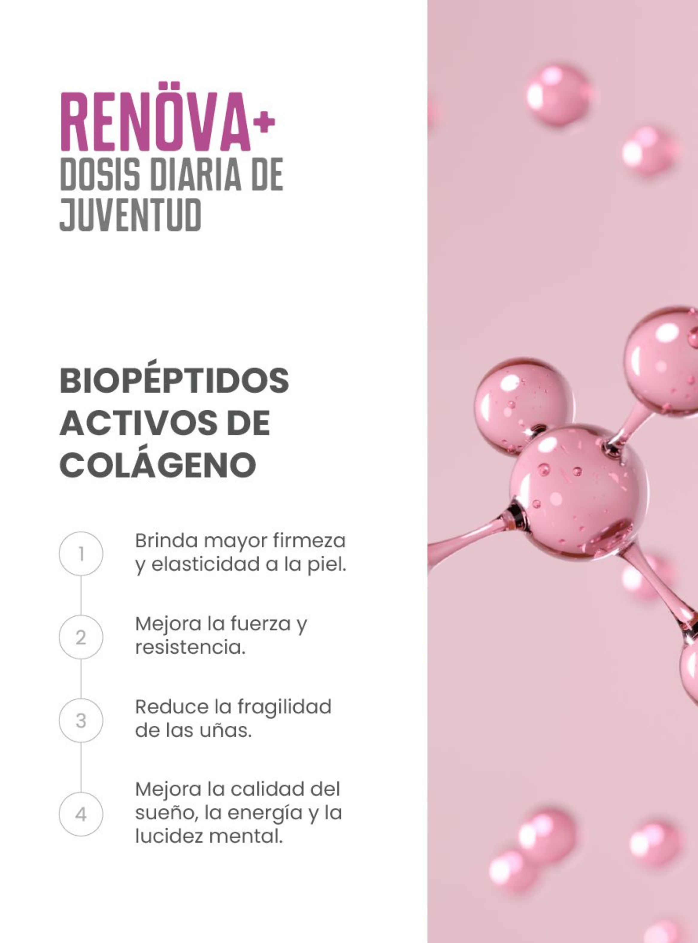 RENÖVA+ Dosis Diaria de Juventud-5
