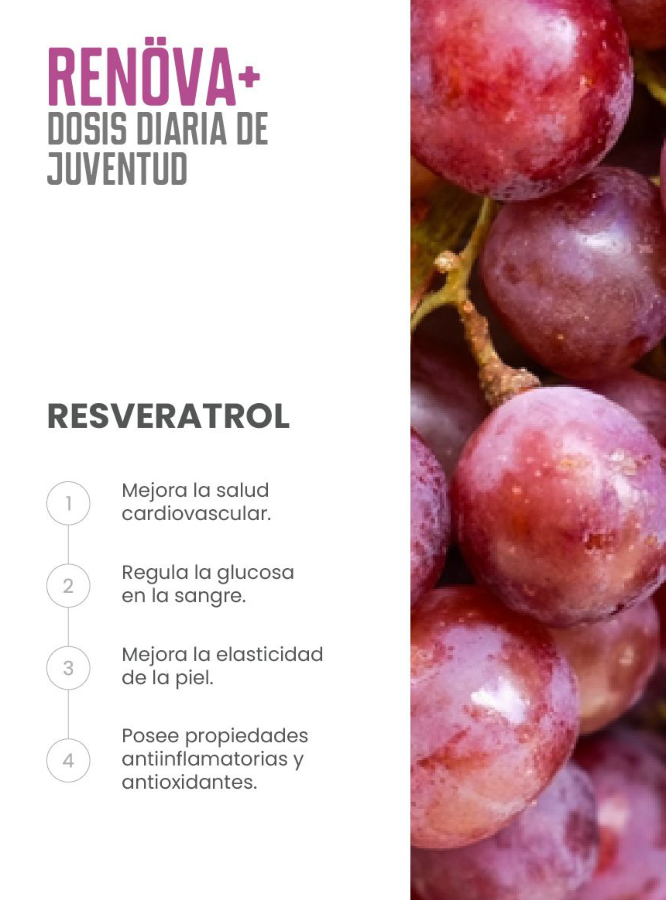 RENÖVA+ Dosis Diaria de Juventud-6