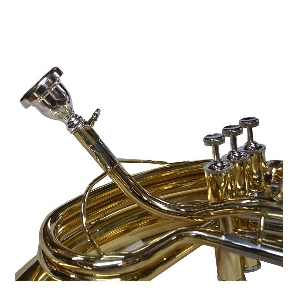 TUBA O SOUSAPHONE DORADO ETINGER-1
