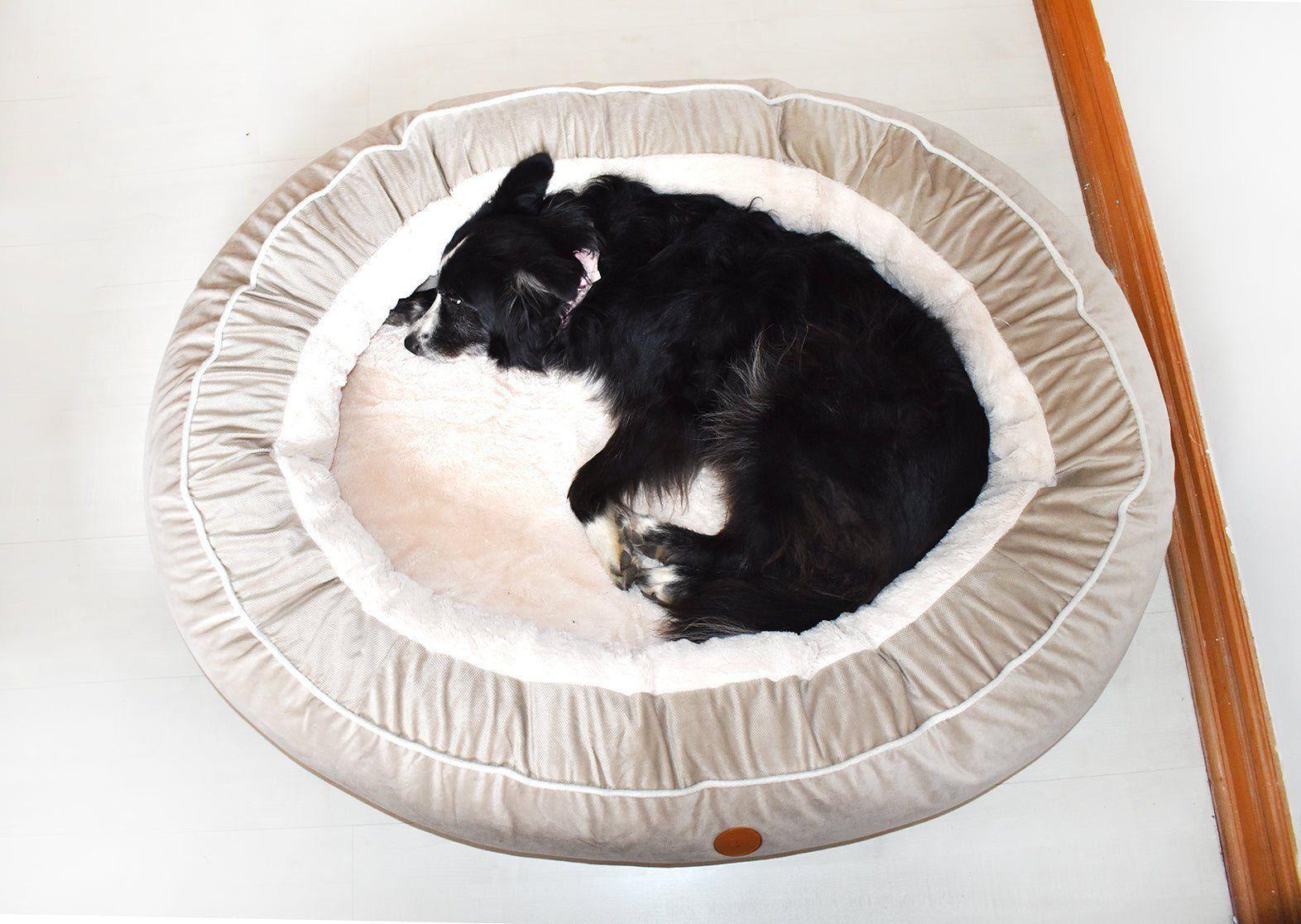 Cama Premium Ulmo Beige XL Dog Republic-2