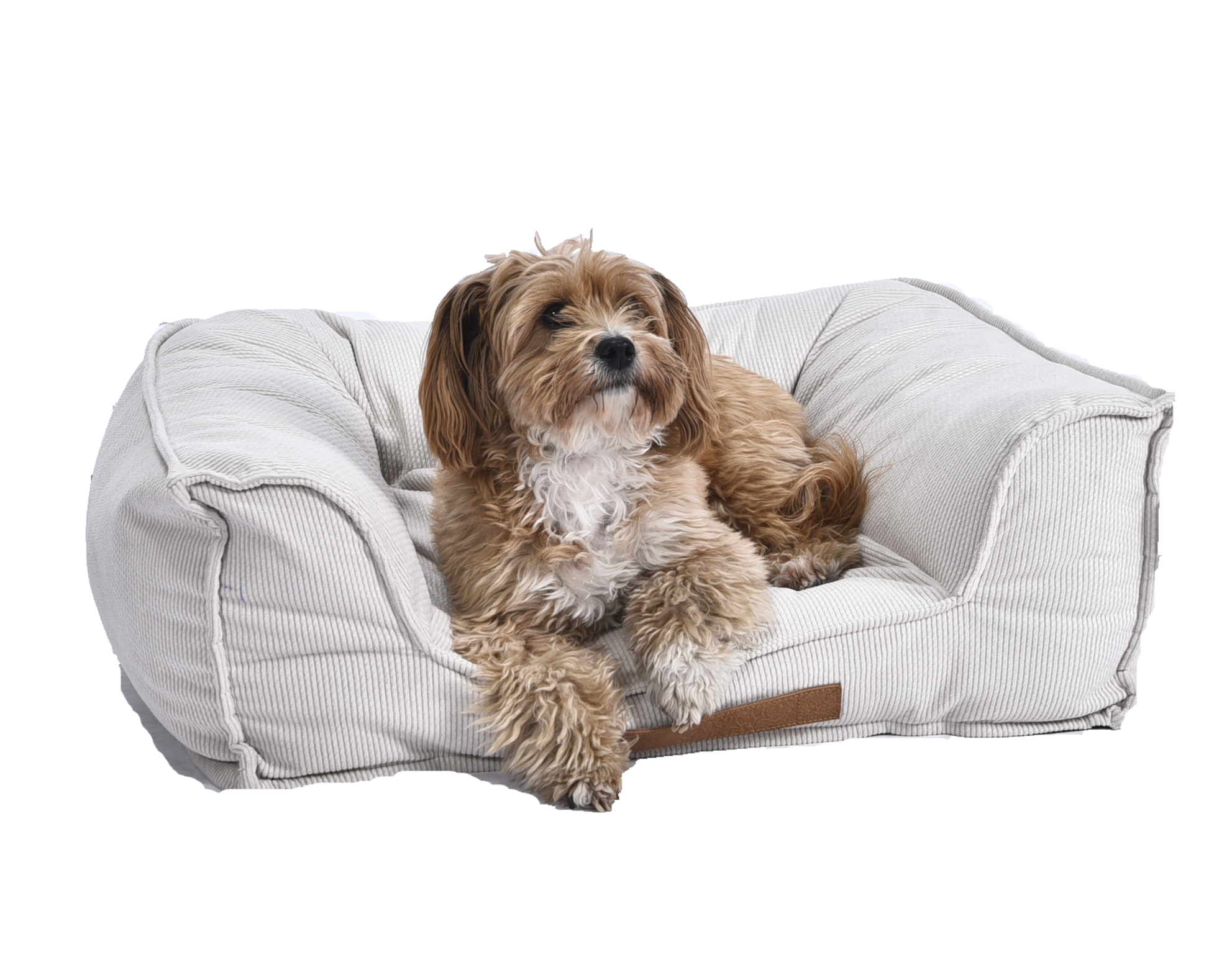Cama mascotas Harry Pro Beige M Dog Republic-2