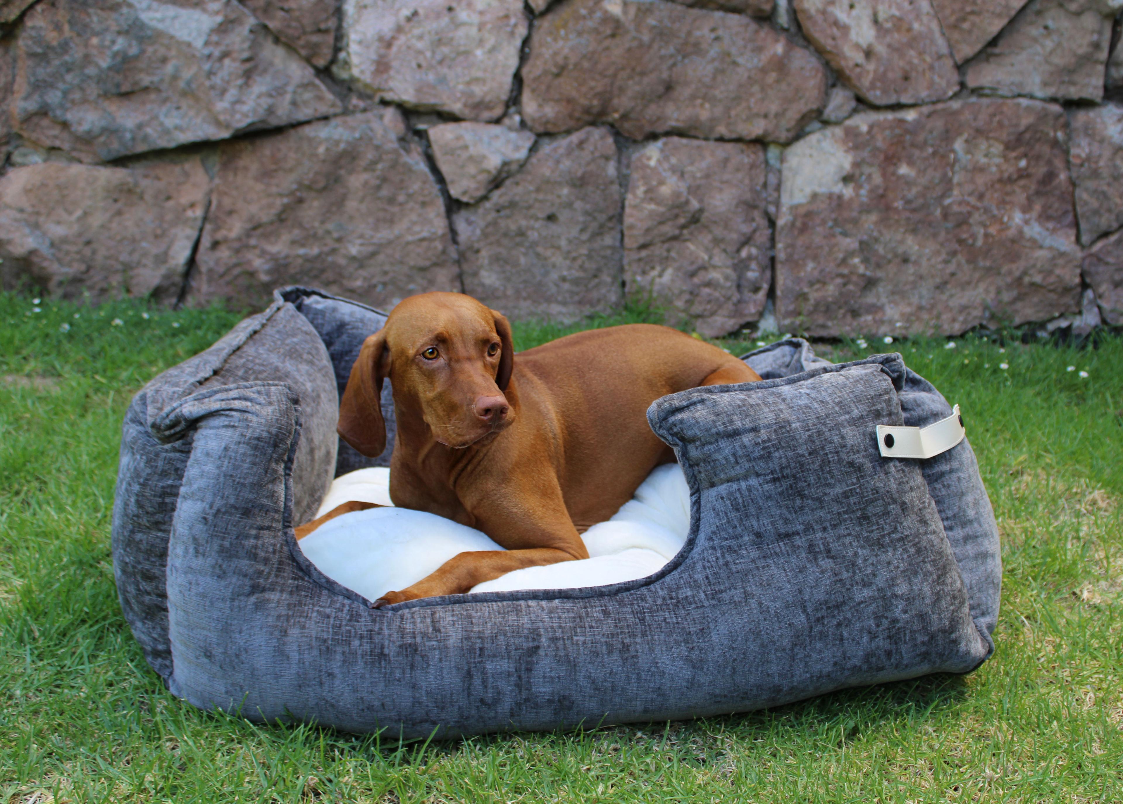Cama mascotas Diana Deluxe Gris M Dog Republic-3