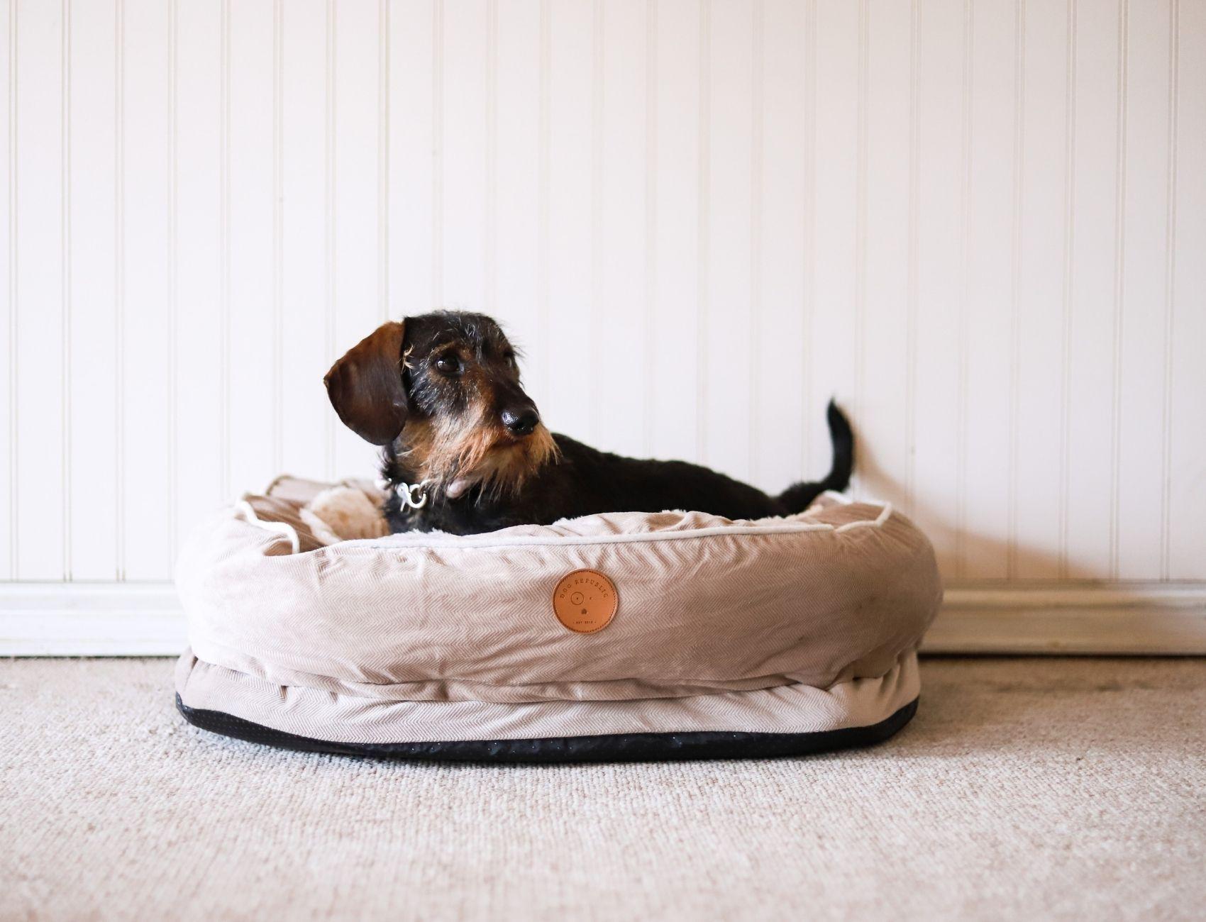 Cama Premium Ulmo Beige M Dog Republic-2