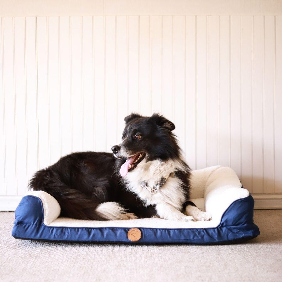 Cama Sofá Mascotas Azul Talla S Dog Republic-2