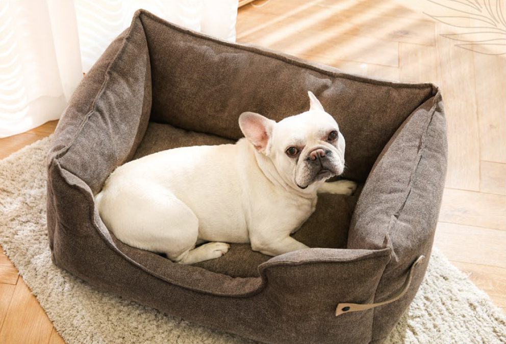 Cama mascotas Diana Deluxe Café M Dog Republic-3