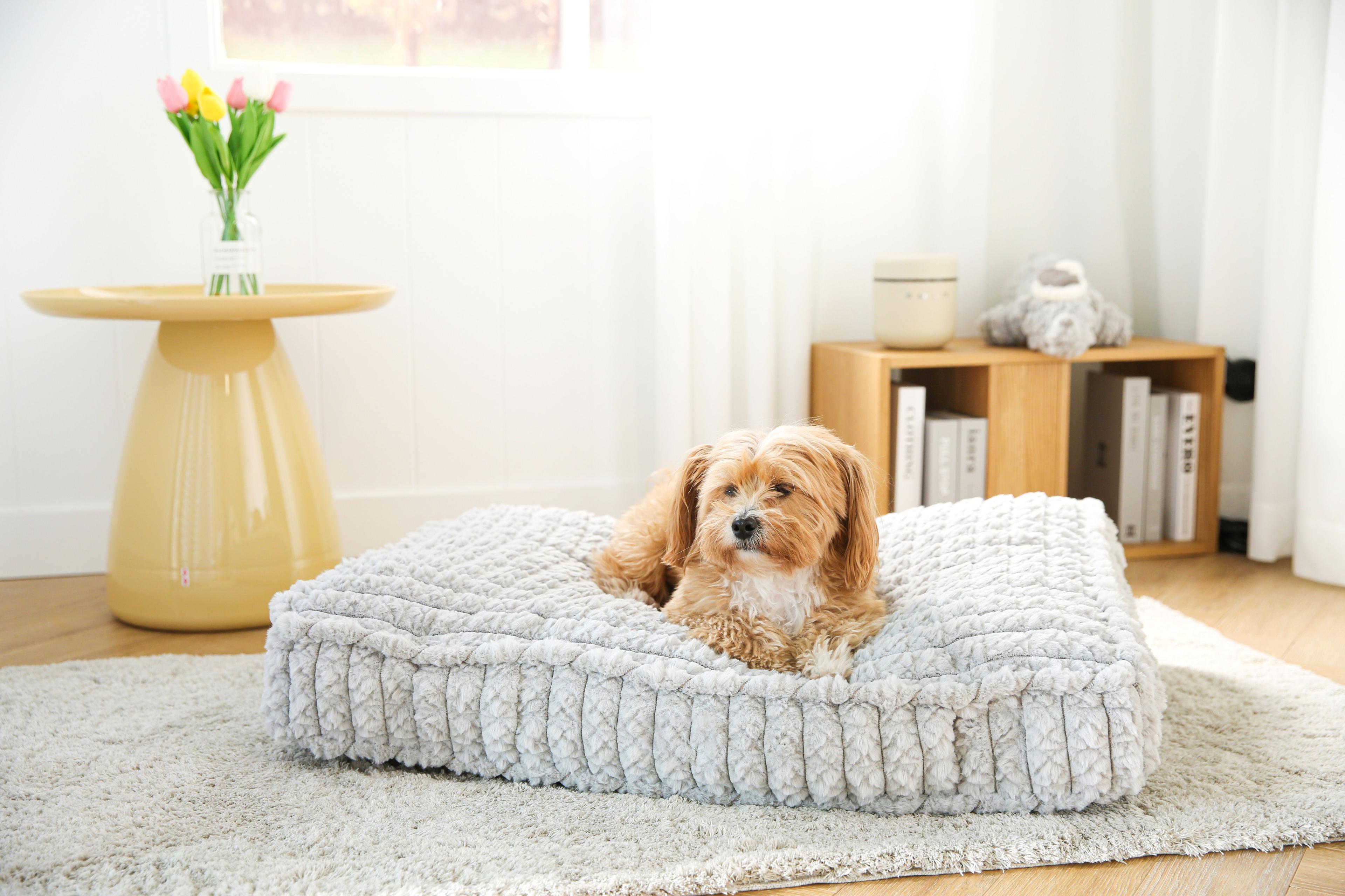 Cama Cojín mascotas Genghis Khan Gris M Dog Republic-2