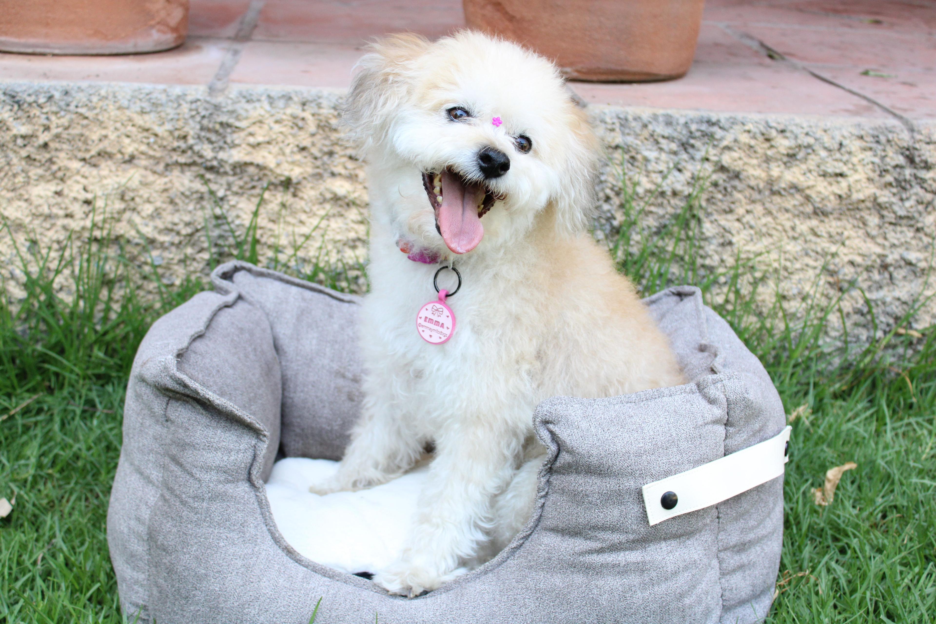 Cama mascotas Diana Deluxe Café S Dog Republic-3