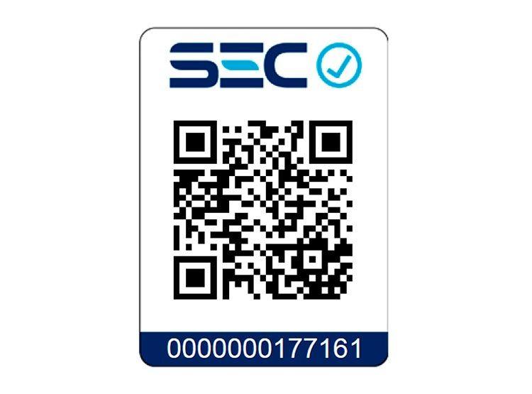 Plancha Alisadora Gama Elegance Coconut Almond-2