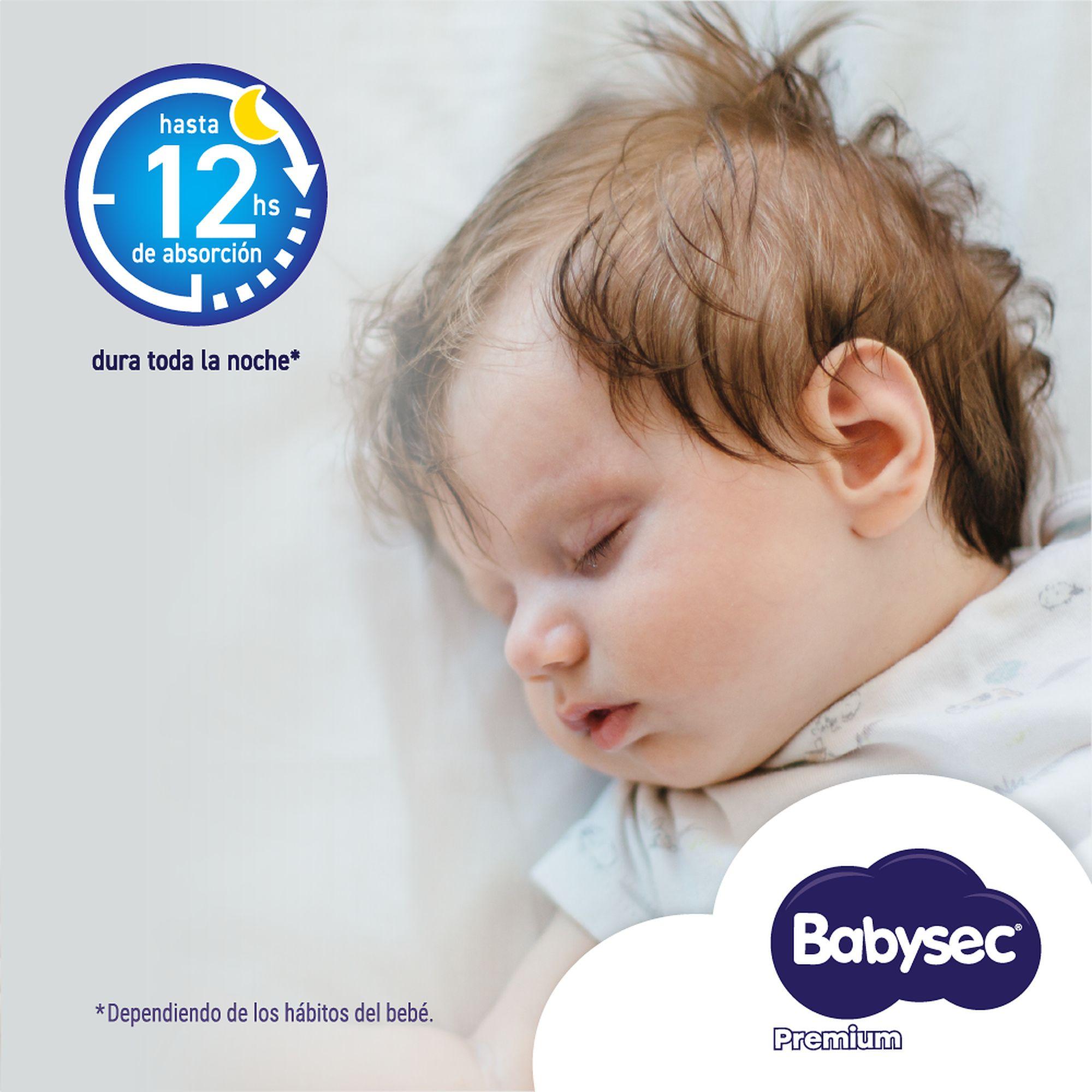 Toallitas Húmedas Babysec Premium 45 un-2