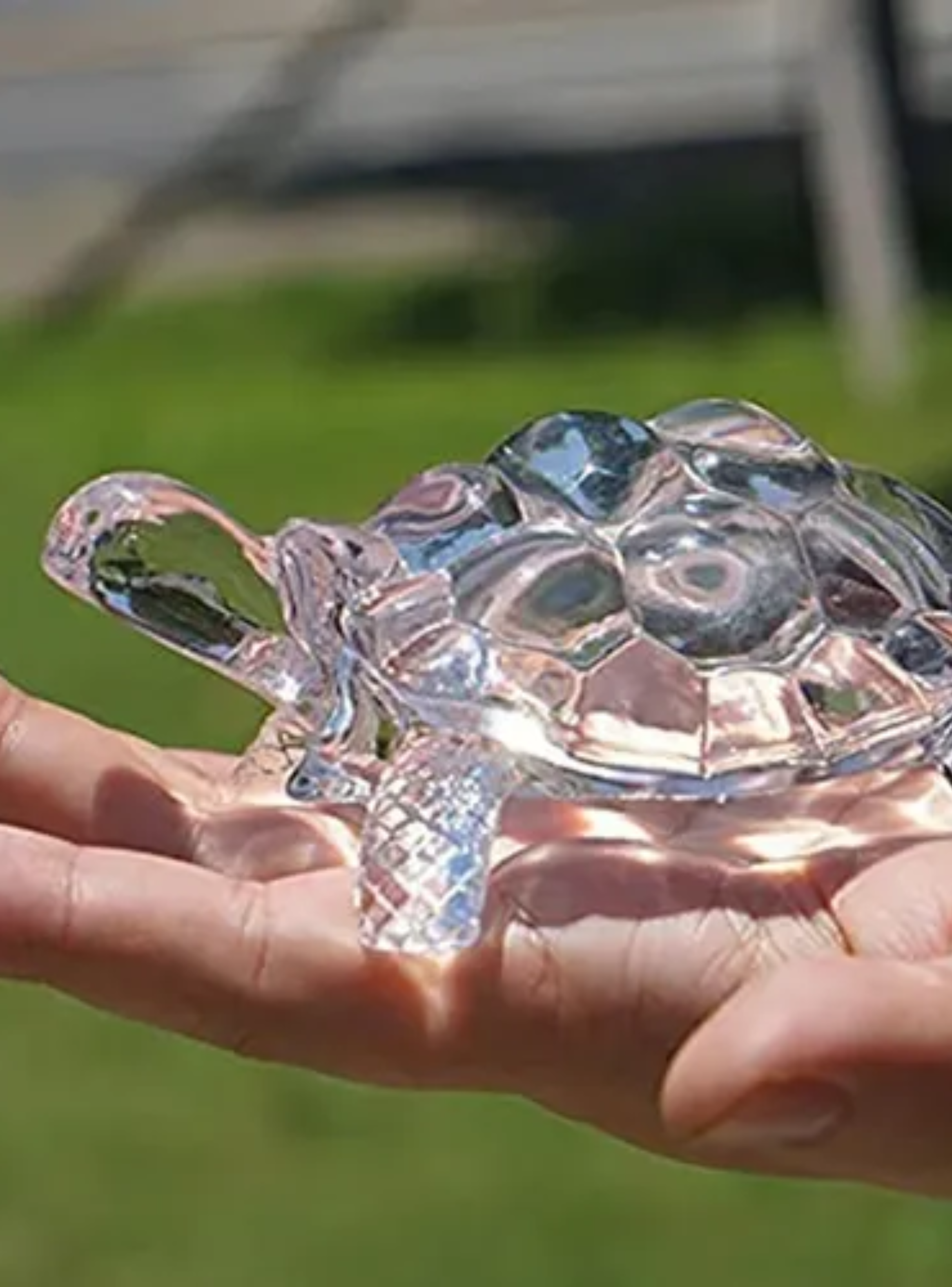 Figura Adorno Tortuga De Vidrio 12 Cm Decoración-4