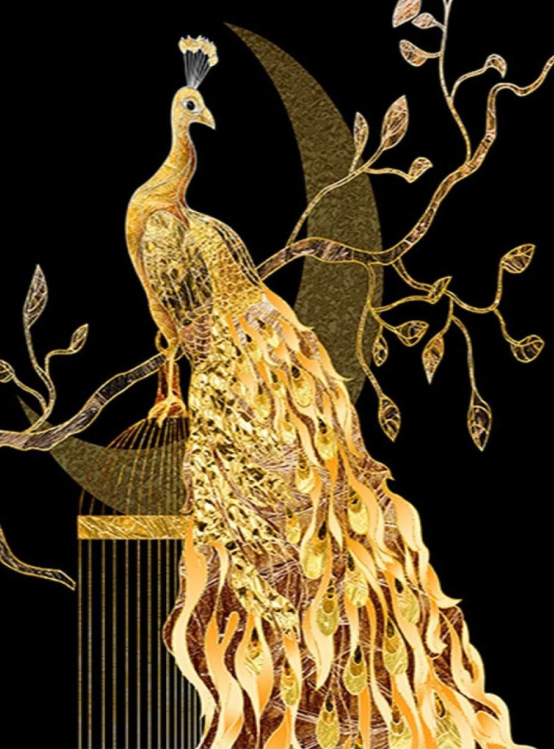 Diseño 6