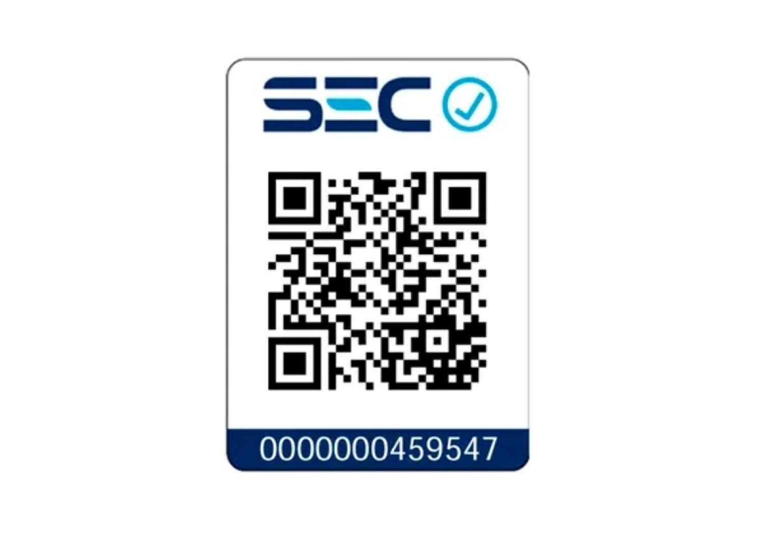 Kit Rotomartillo SDS Plus 1" 2bat+ carg DCH133M2-B2 Dewalt-7