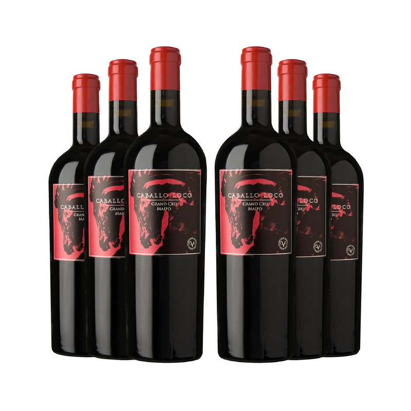 6 Vinos Caballo Loco Grand Cru Maipo 750cc-0