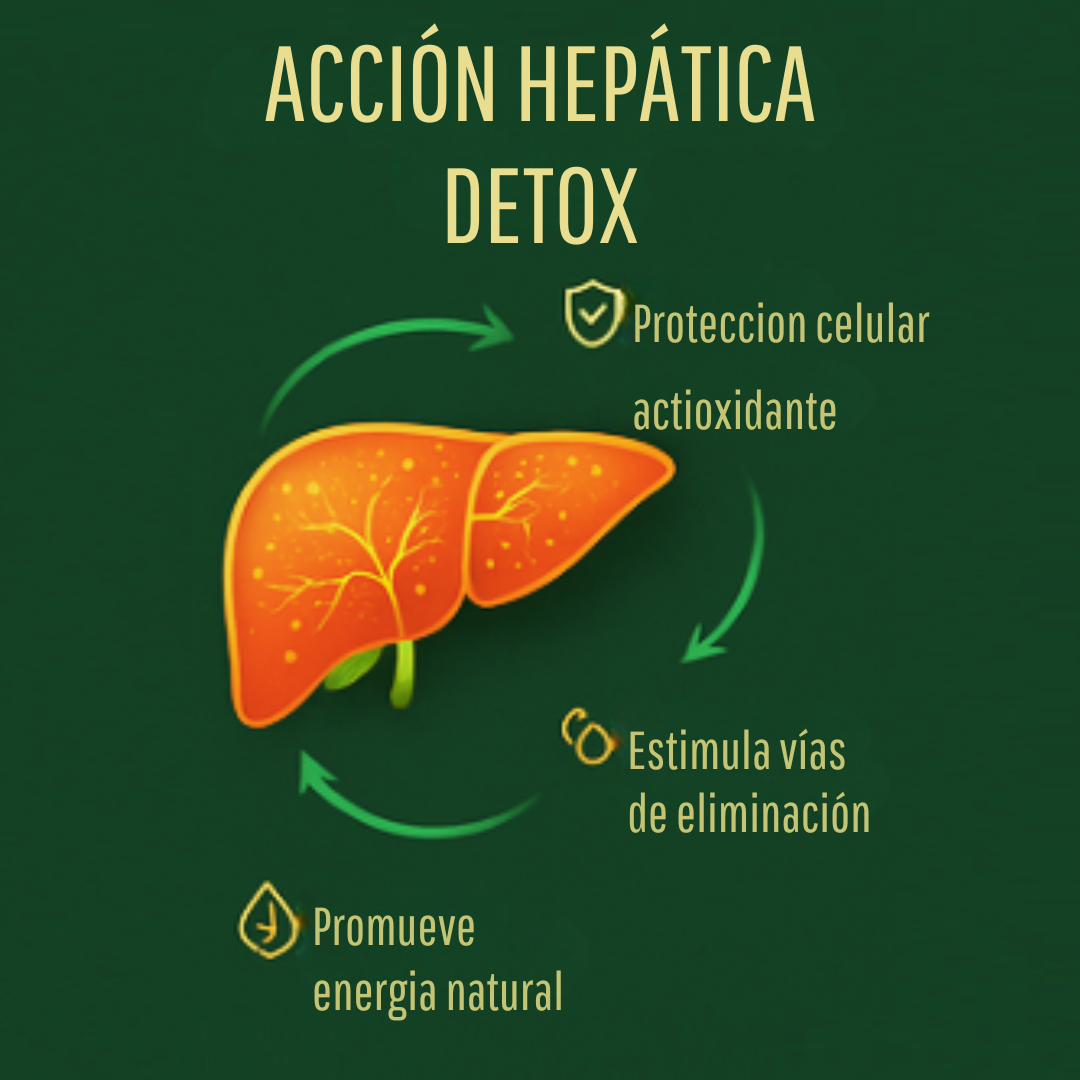 Detox Advance 1995 Mg Con Nac, Cardo Mariano Y Cúrcuma DLS-2