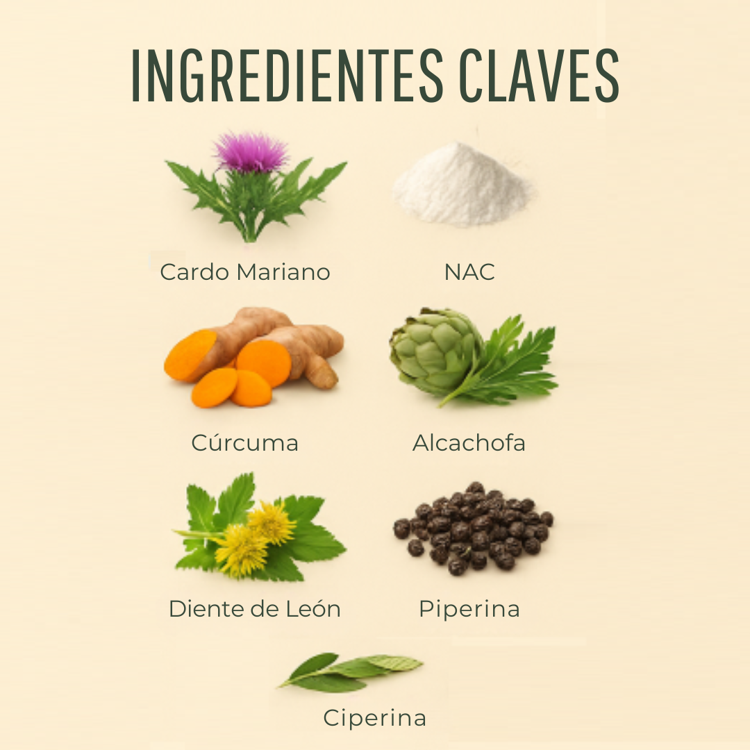 Detox Advance 1995 Mg Con Nac, Cardo Mariano Y Cúrcuma DLS-3