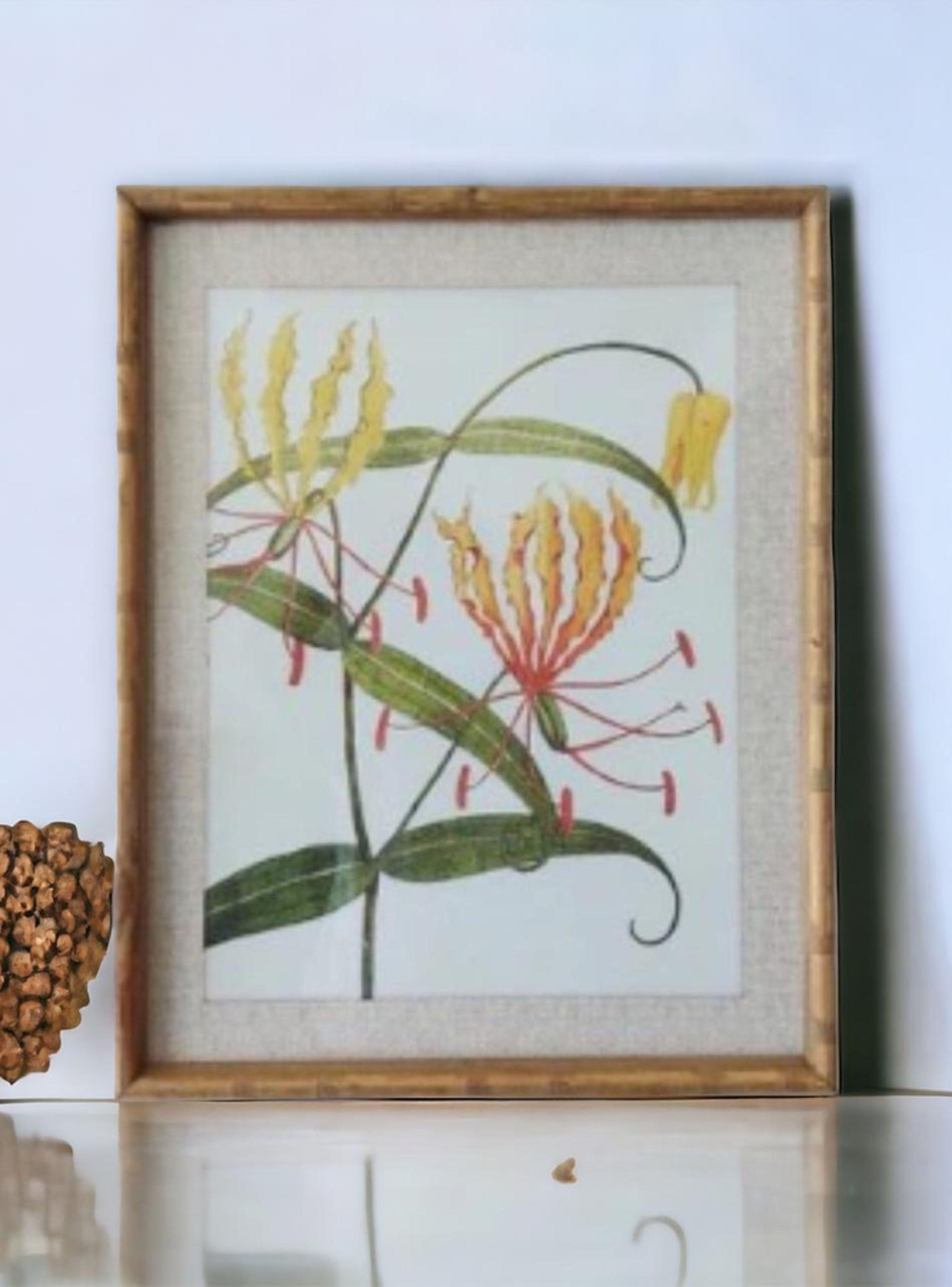 Cuadro botánico marco madera 50x60 cms-1