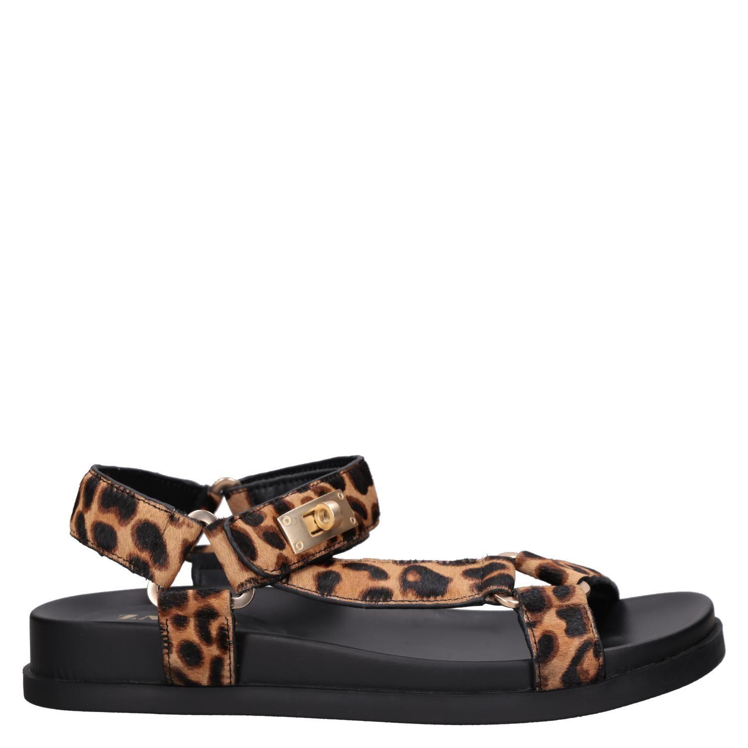 Sandalia Casual Mujer Zappa - ZAM0037-0