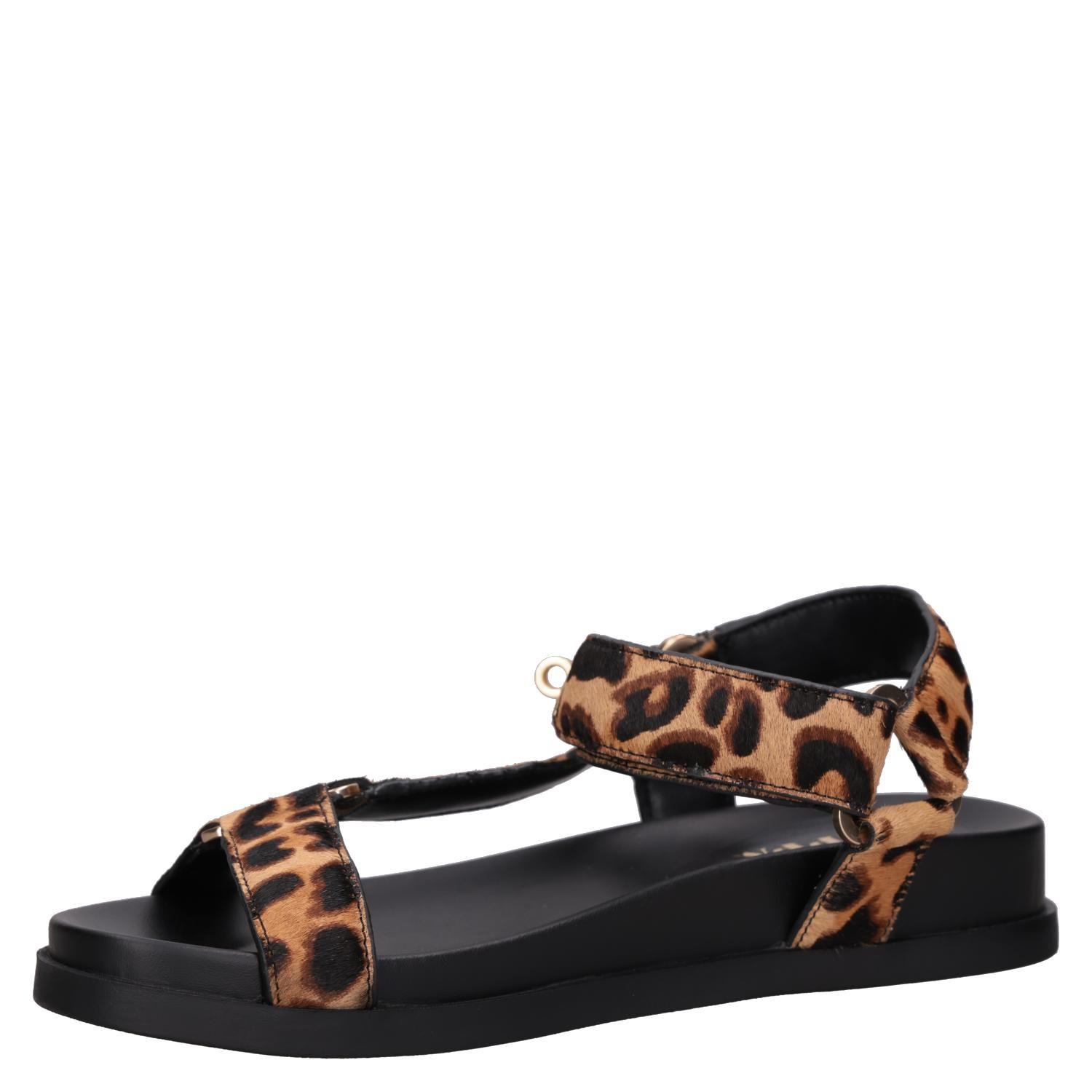 Sandalia Casual Mujer Zappa - ZAM0037-4