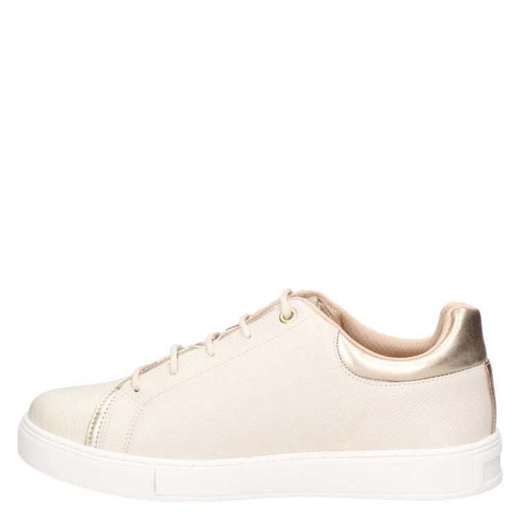 Zapatilla Casual Mujer Mingo- H461-3