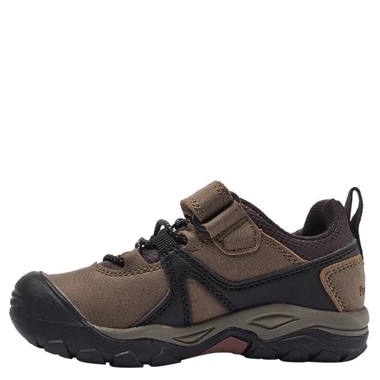 Zapatilla Casual Niño Panama Jack - H815-3