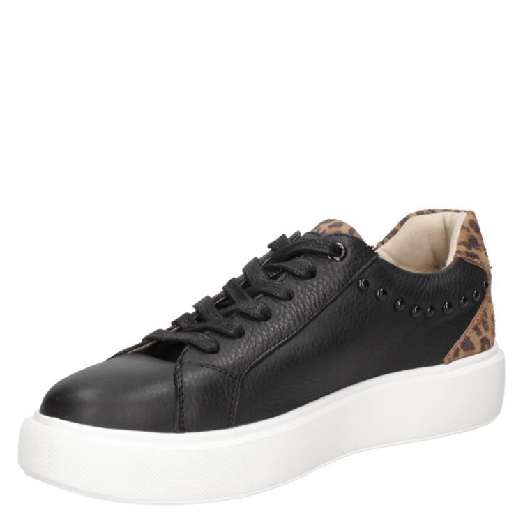 Zapatilla Casual Mujer Pollini - G266-4