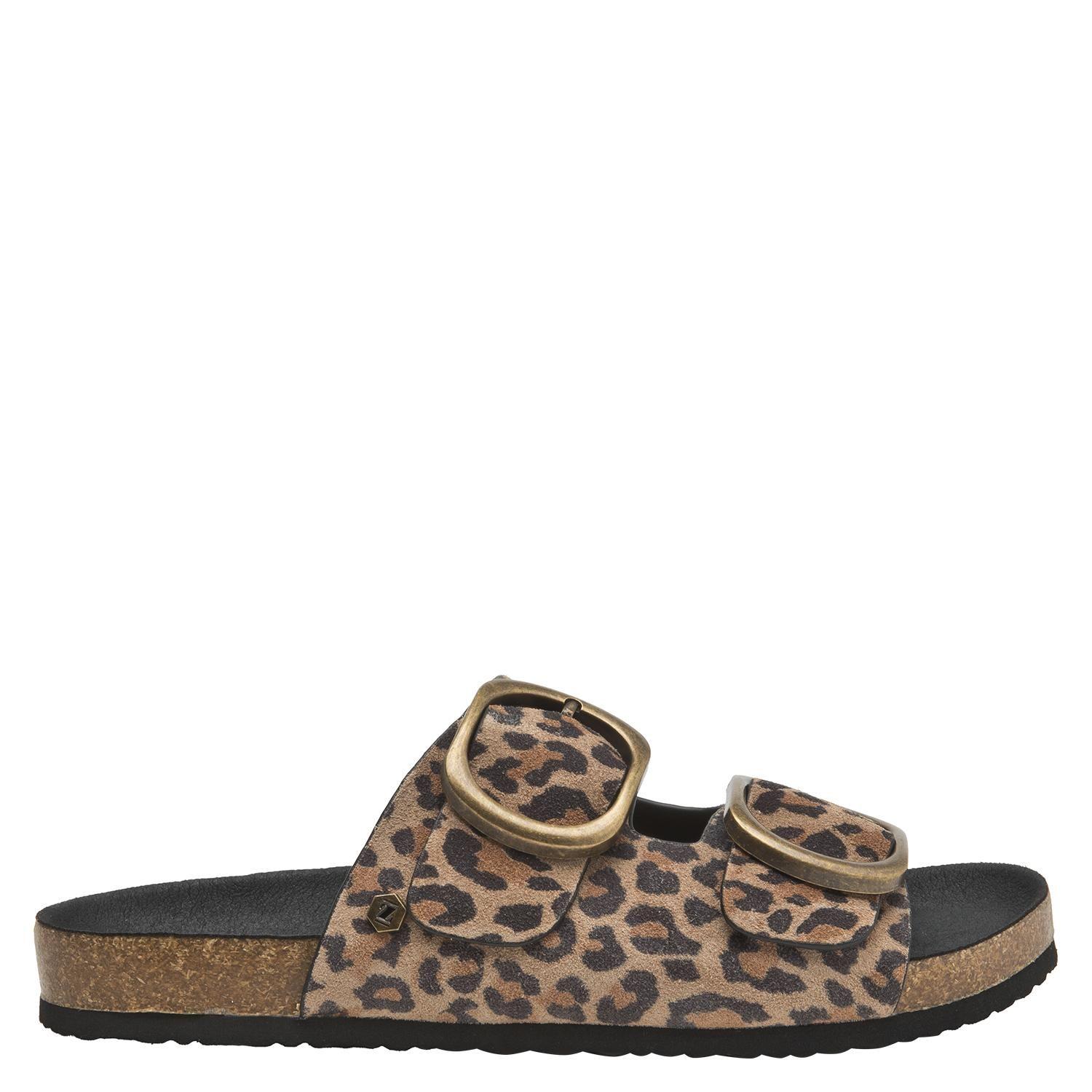 Sandalia Casual Mujer Zappa - ZAM0001-0