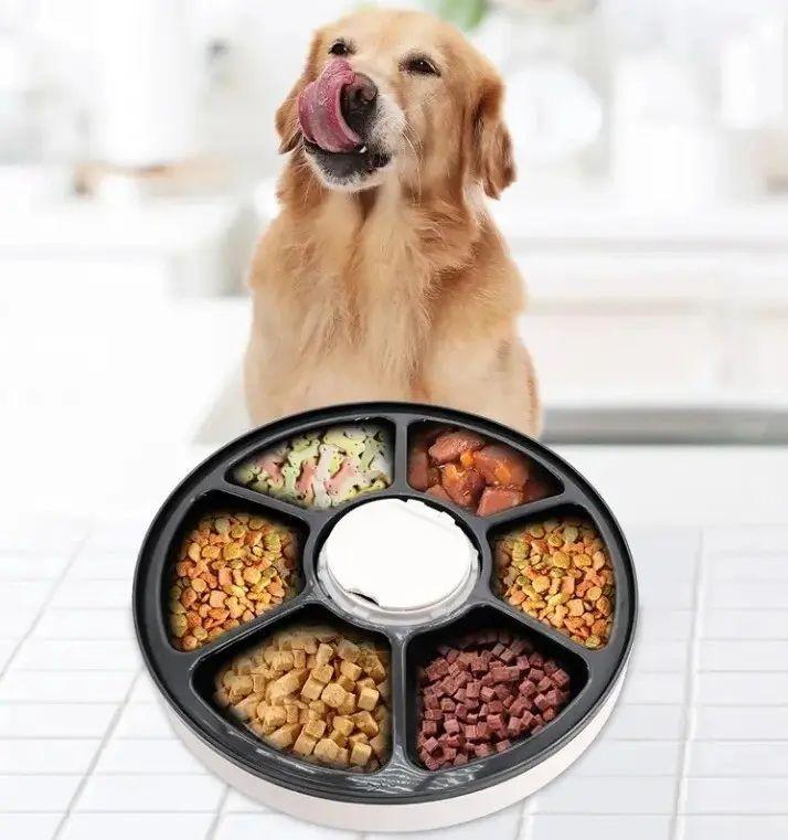 Dispensador Alimento Automatico Perros y Gatos-2