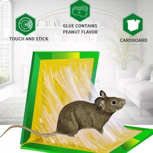 Trampa Para Raton Adhesiva Mouse & Rat-4