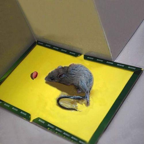 Trampa Para Raton Adhesiva Mouse & Rat-3