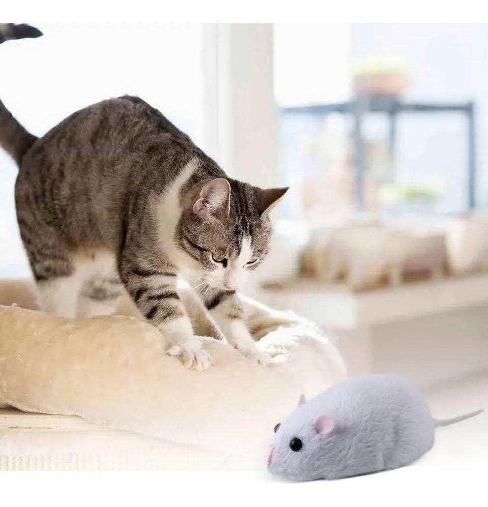 Juguete Para Gatos Raton Control Remoto Juego Masc-4