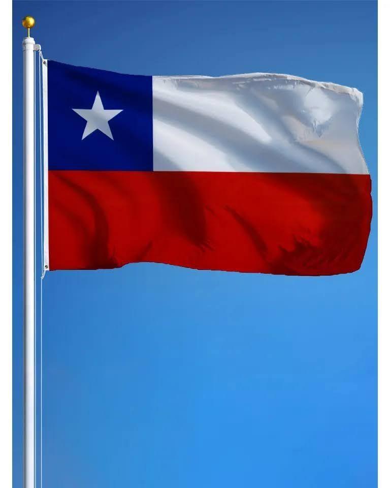 Bandera Chilena 90 X 135 Cm Tela Reforzada Estrella Bordada-1