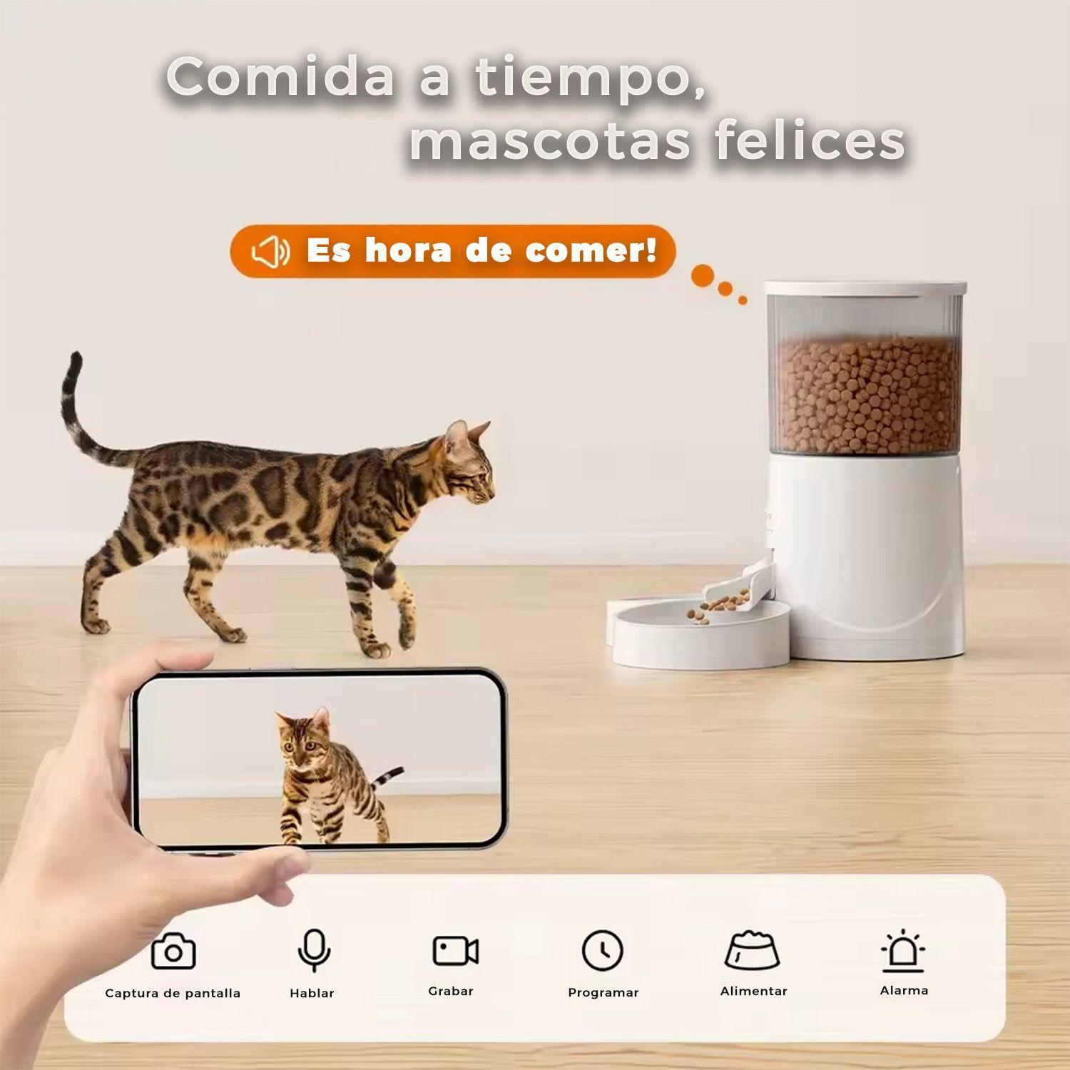 Dispensador Automatico Comida Mascotas 4 lts. Camara Wifi-4