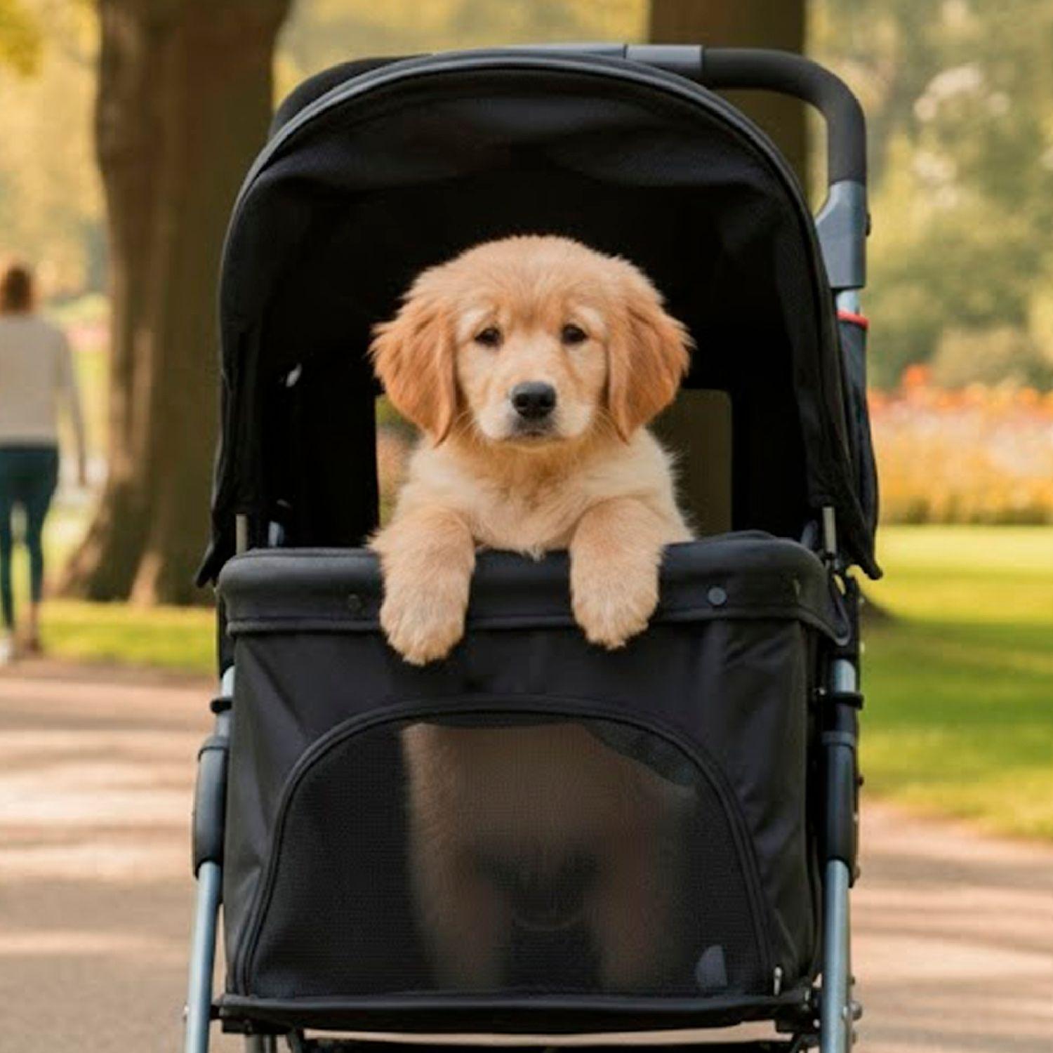 Coche Paseo Mascota Plegable Portatil 4 Ruedas-3