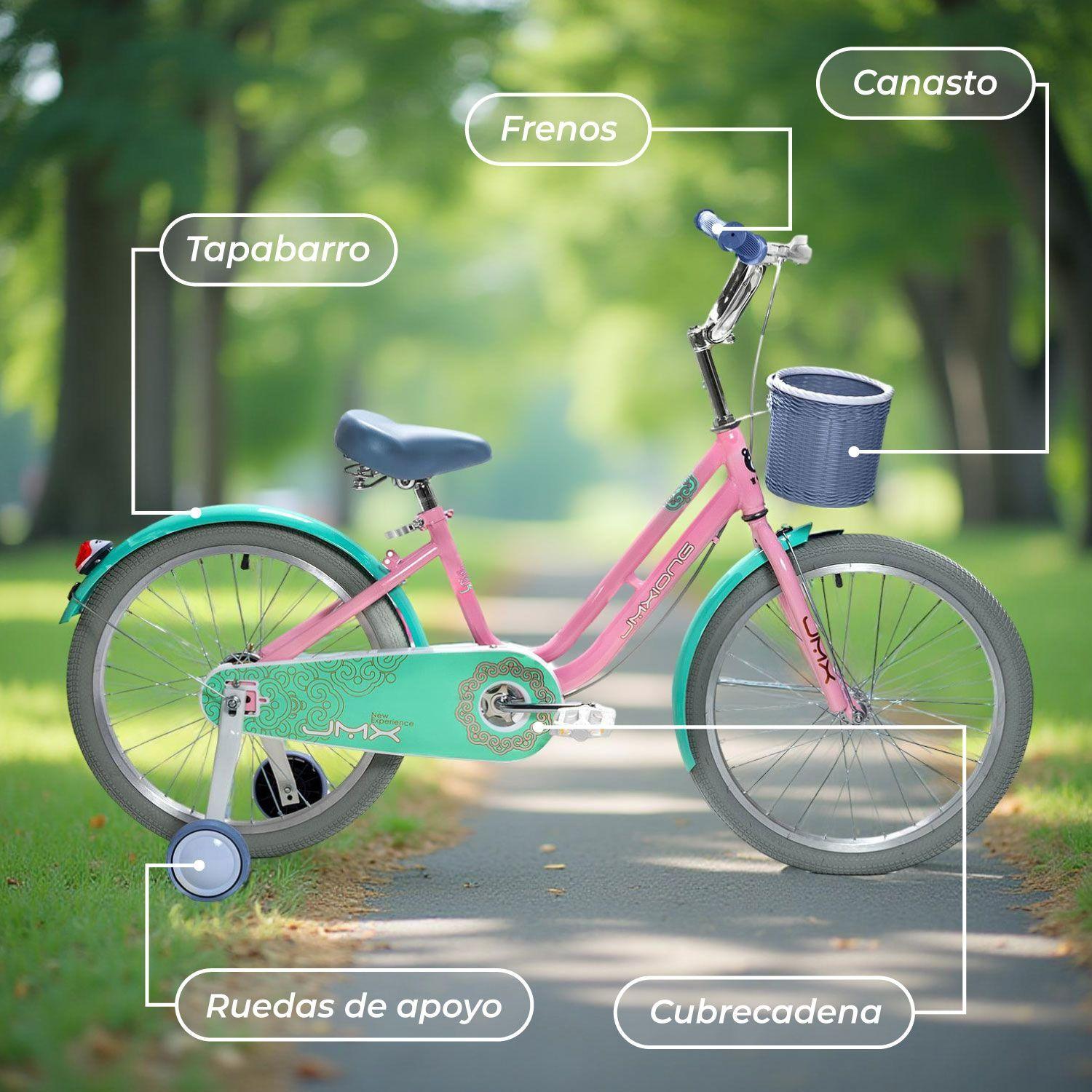 Bicicleta Infantil Aro 20 Paseo con Rueditas y Canasto-4