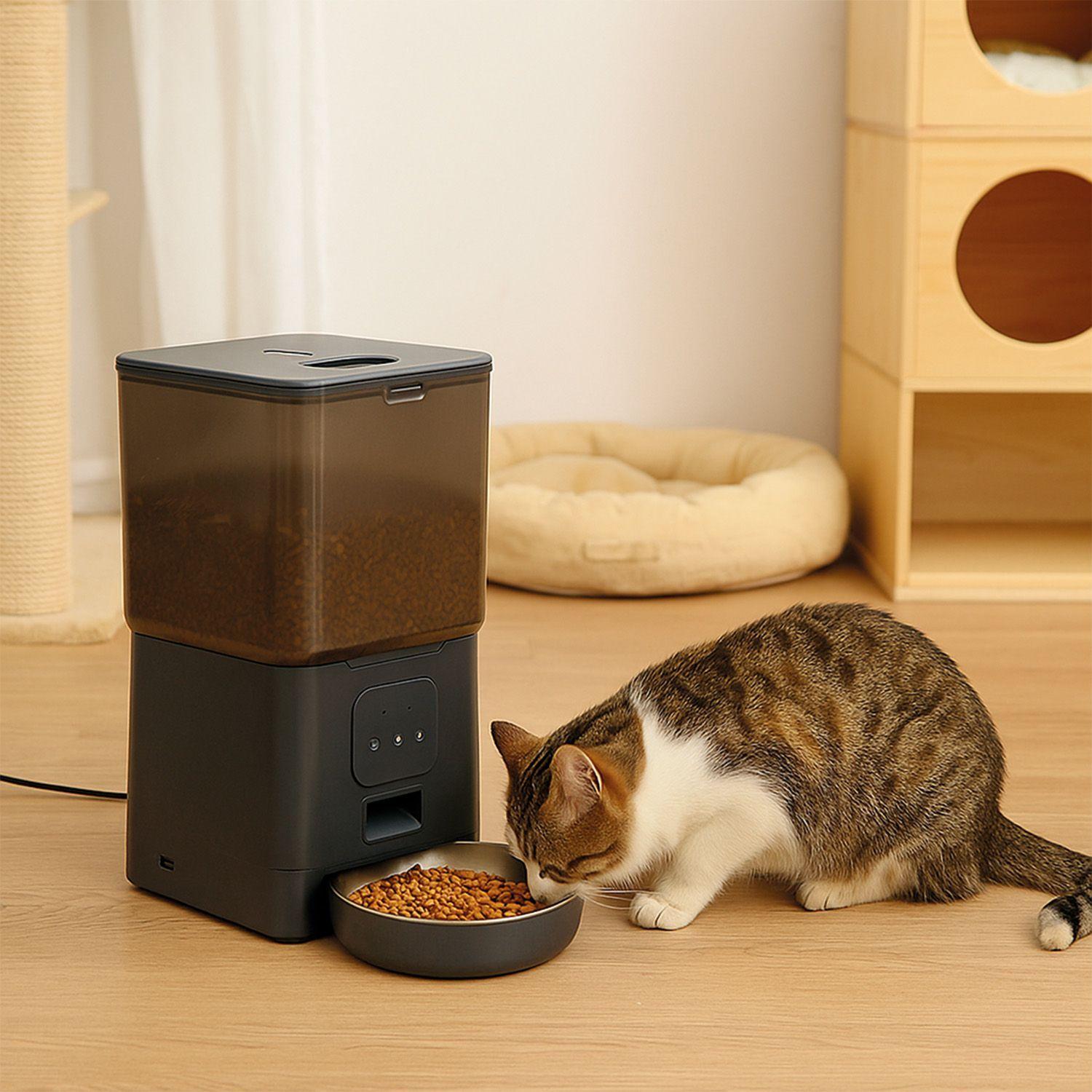 Dispensador Automatico Comida Mascotas Cubo 6 lts. Wifi-5