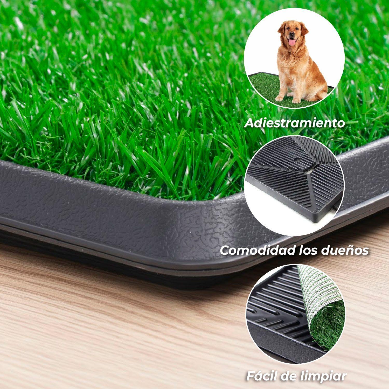 Baño Ecologico Mascota Grande XXL Perro Lavable-3