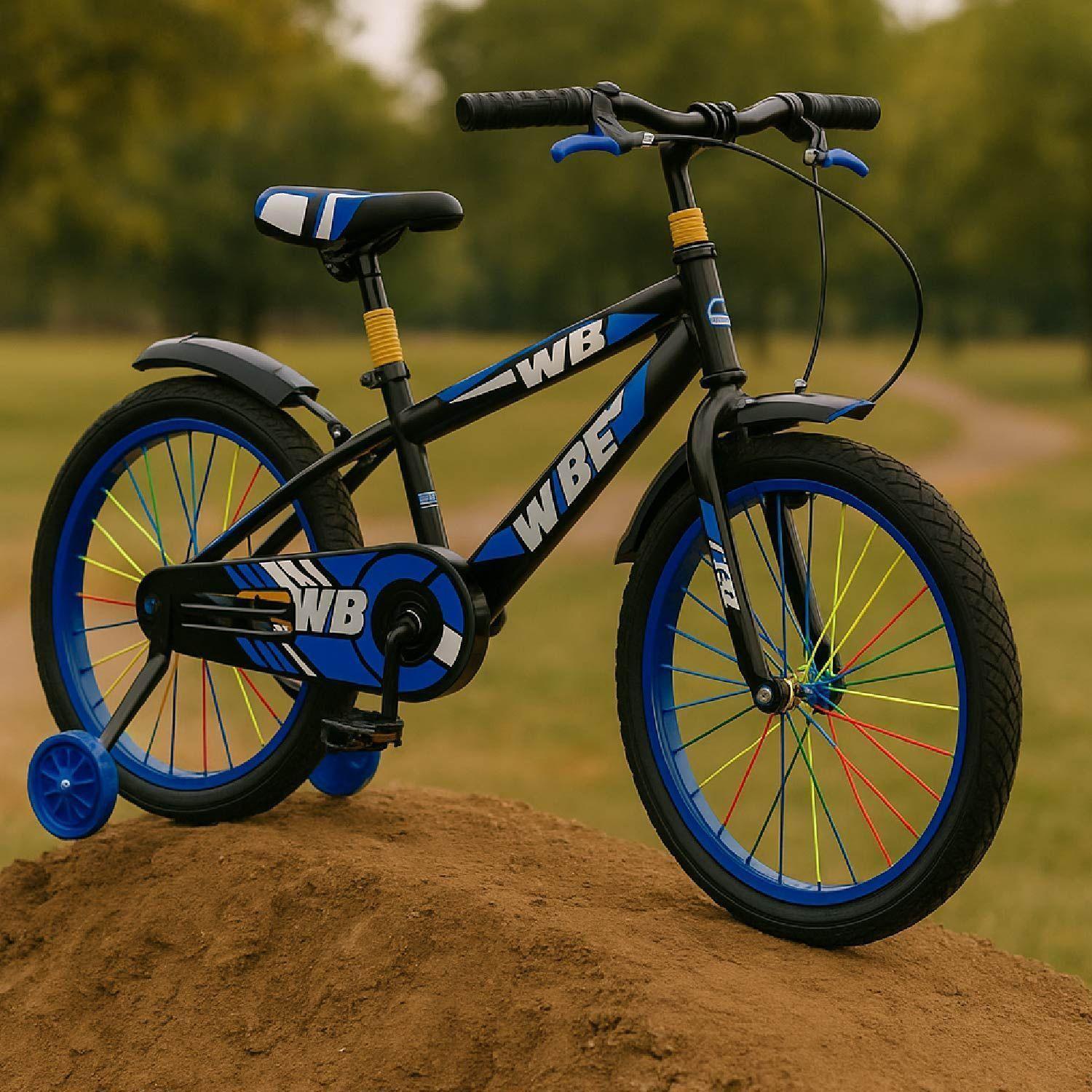 Bicicleta Niño Infantil Mountain Bike MTB Con Ruedas Aro 16-1
