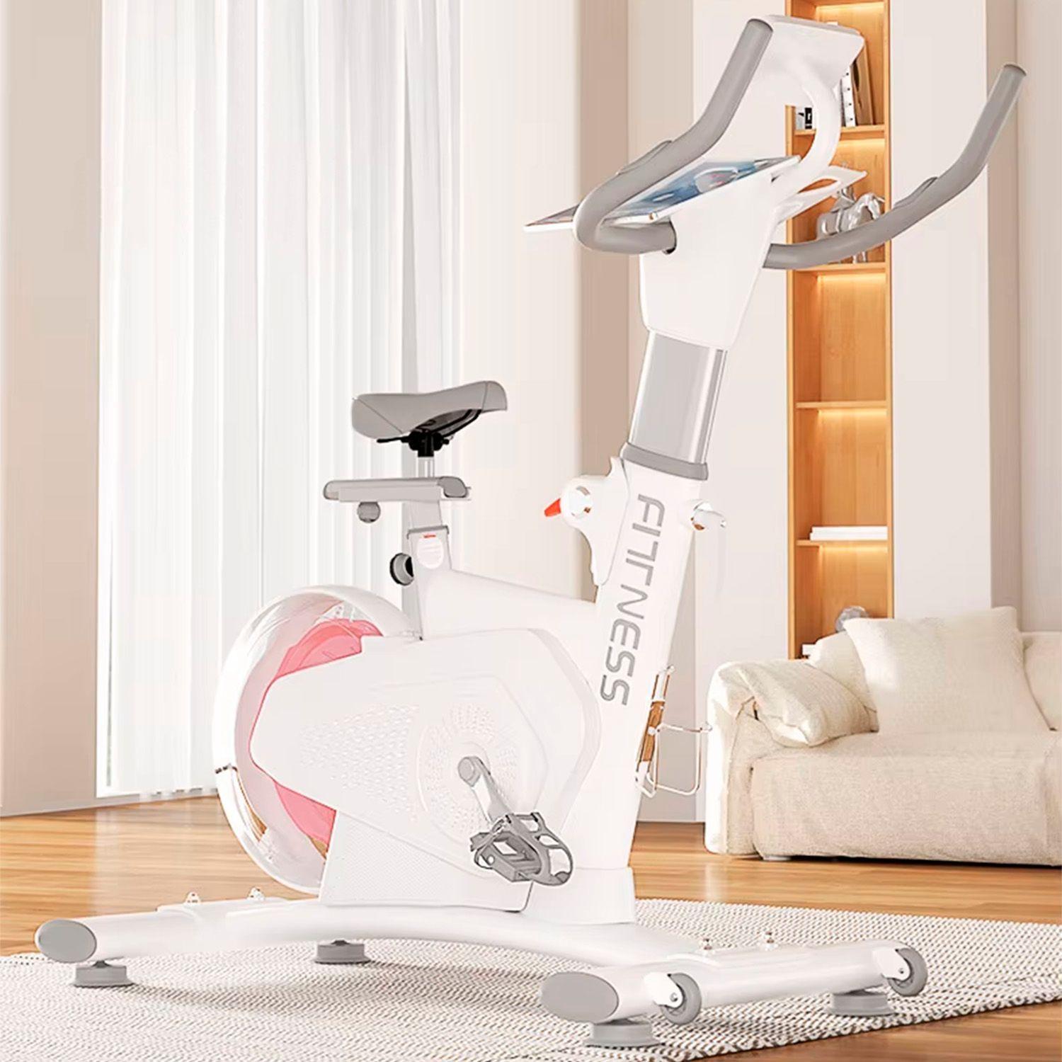Bicicleta Spinning Magnetica Profesional k11 8 KG-7