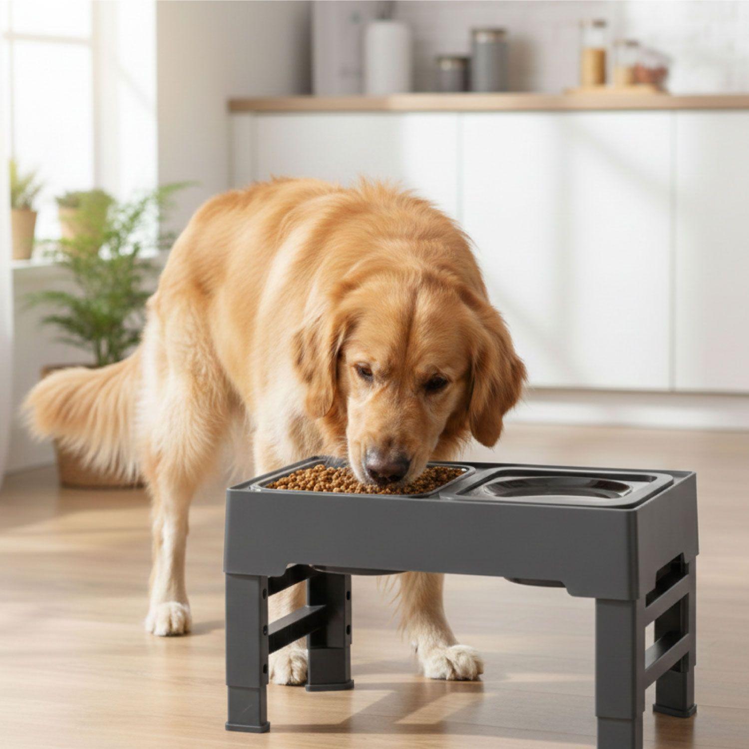 Plato Comedero Bebedero Antiderrame, Ajustable Para Mascotas-4