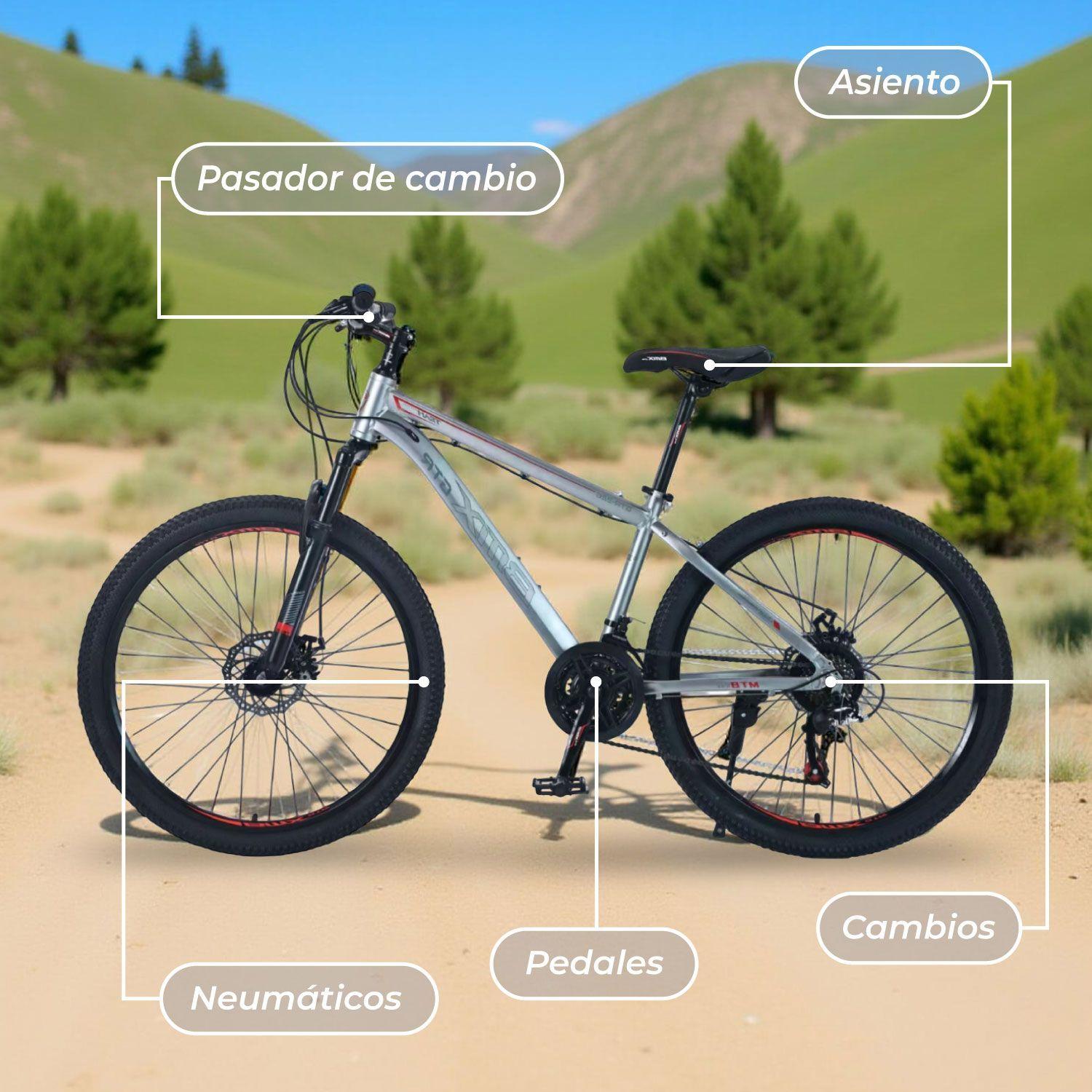 Bicicleta Aro 26 de Montaña Mtb Bitix Grey-5