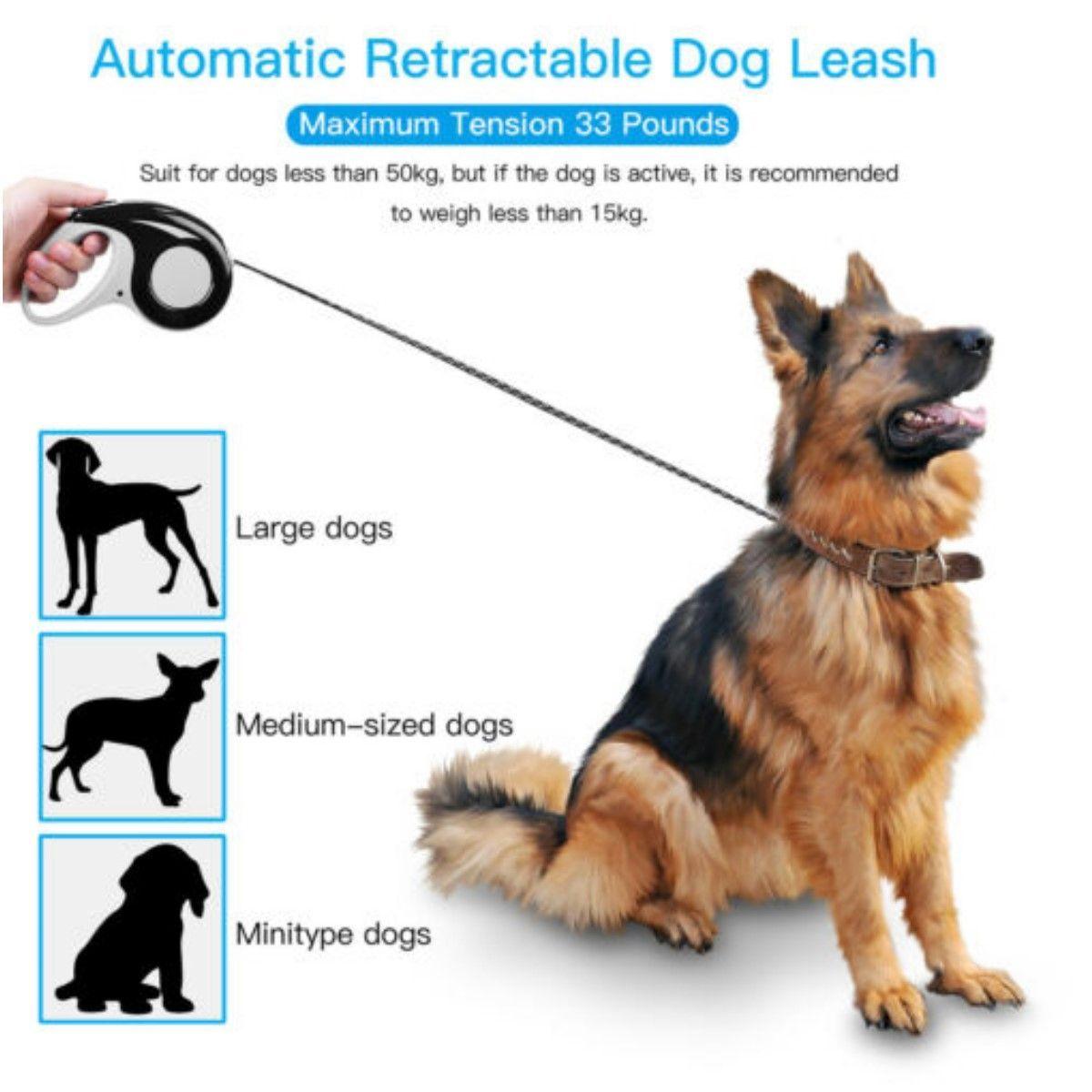 Correa Mascota Retractil Automatica 5 mts. Perro Gato Negro-3