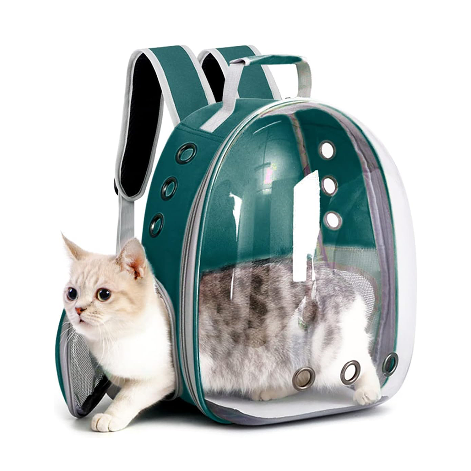 Mochila transportadora Gatos Verde-1