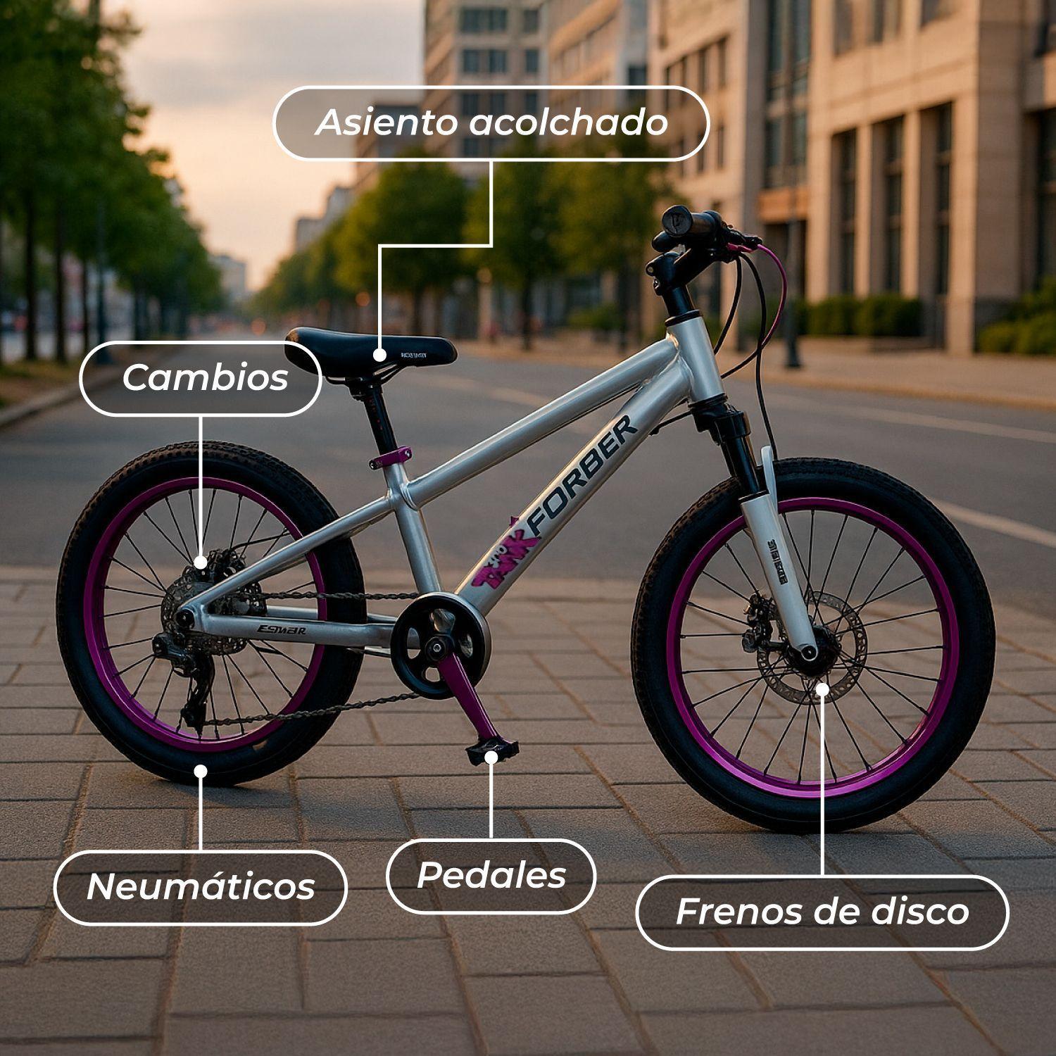 Bicicleta Infantil Aro 20-5