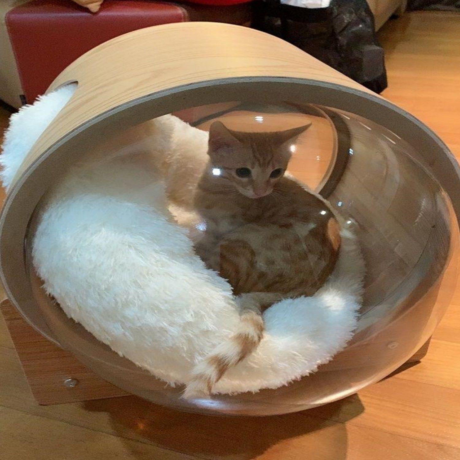 Cama Rascador Gato Capsula Esfera Chiporro-6