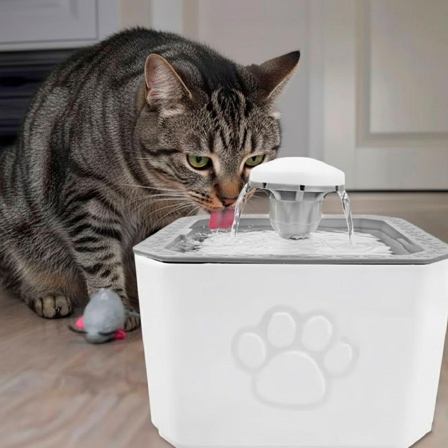 Fuente de Agua Bebedero Mascota Electrico 2,5 LTS-4