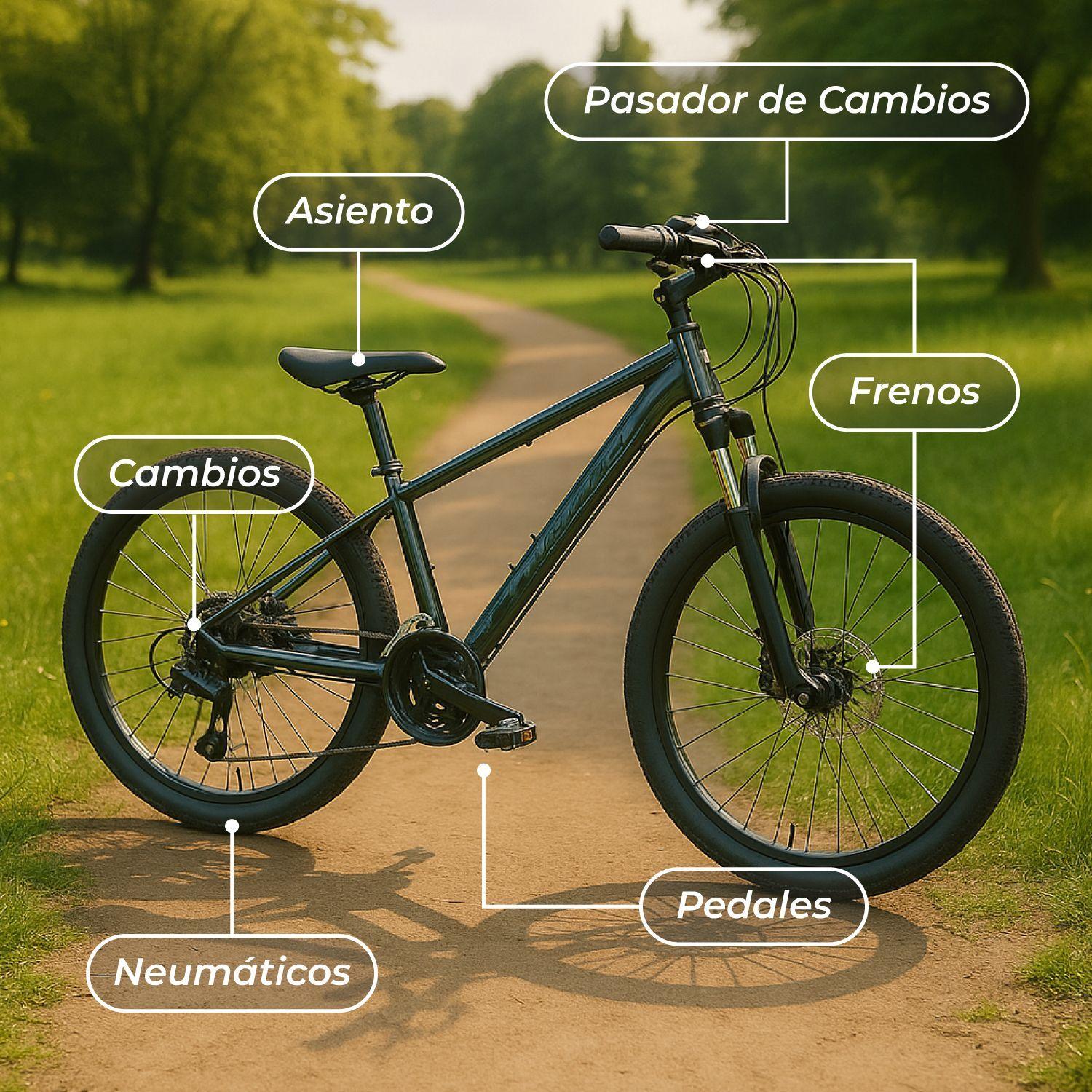 Bicicleta Aro 26 de Montaña Mtb Bitix electric Silver-5